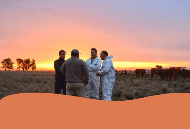 10-un nouveau processus-mob.png