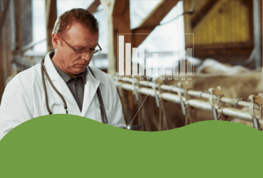 11-vers la transformation-mob.png