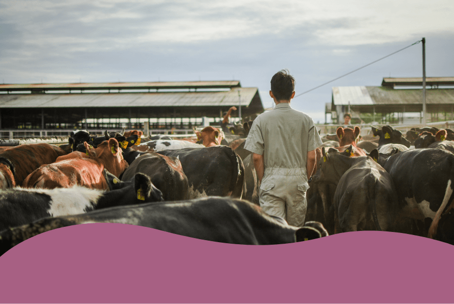 7-vers observatoire.png