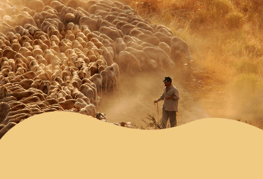 notre vision-la sante animal-mobpng